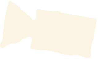 Videografie